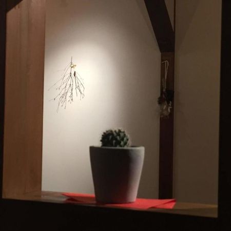 Kinosaki Knot Female Only Dormitory - Vacation Stay 25710V Toyooka (Hyogo) Exterior foto